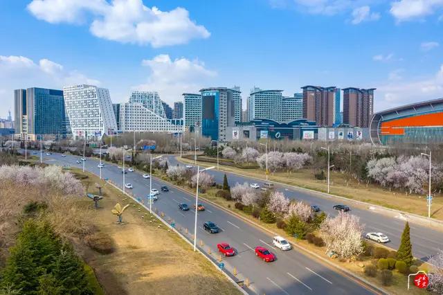 浑南区房地产板块分析,浑南区板块分析