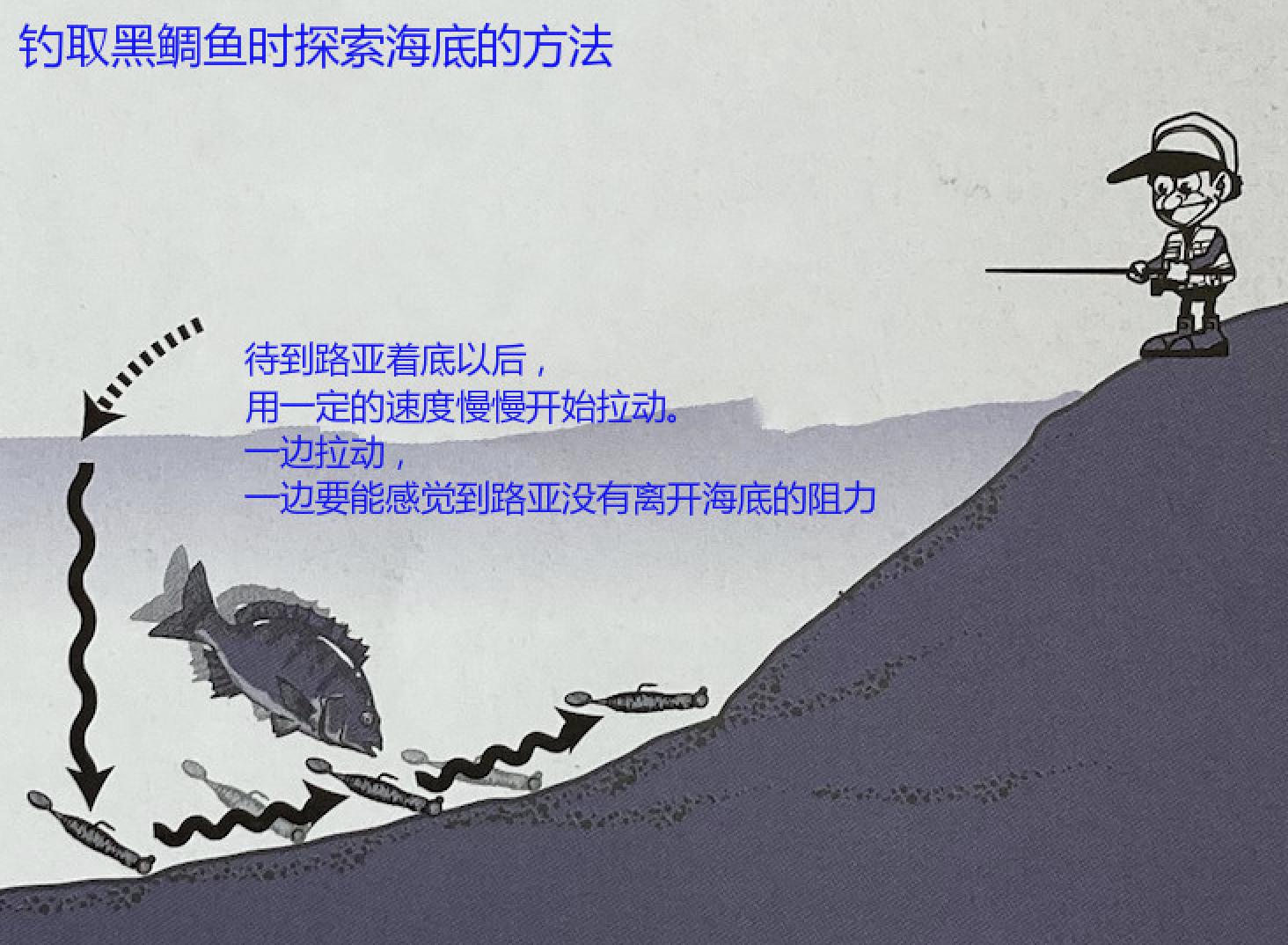 路亚钓黑鲷入门教程,路亚钓黑鲷的方法与技巧