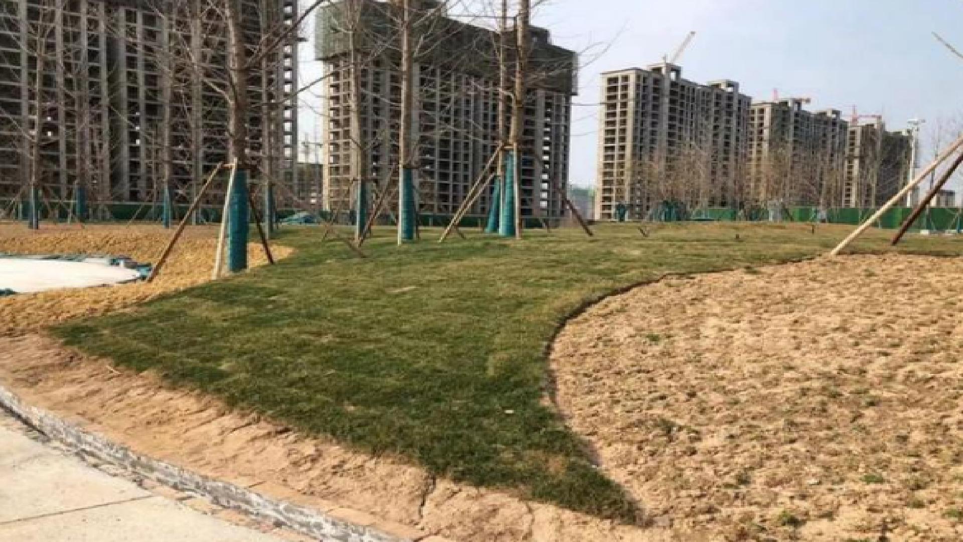 河南耗资230亿的公园,河南新建公园招商