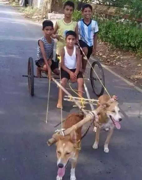 虽然她是在鄙视，不过我突然有了个大胆的想法