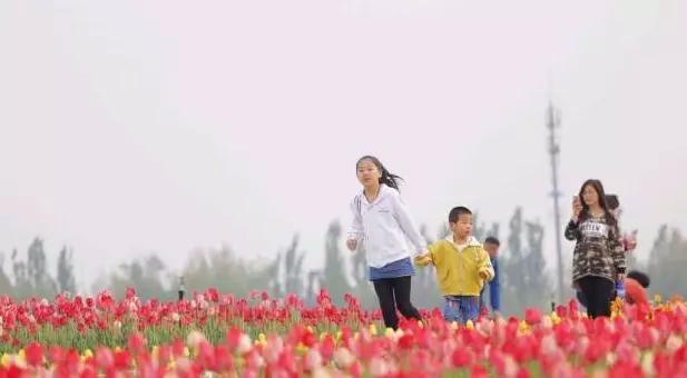霸州踏青,霸州附近看花踏青好去处
