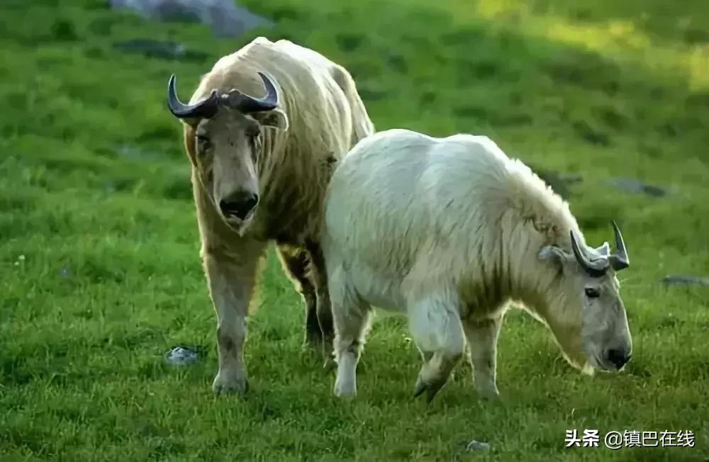 汉中周边踏青的好地方,四月汉中春天踏青的好去处