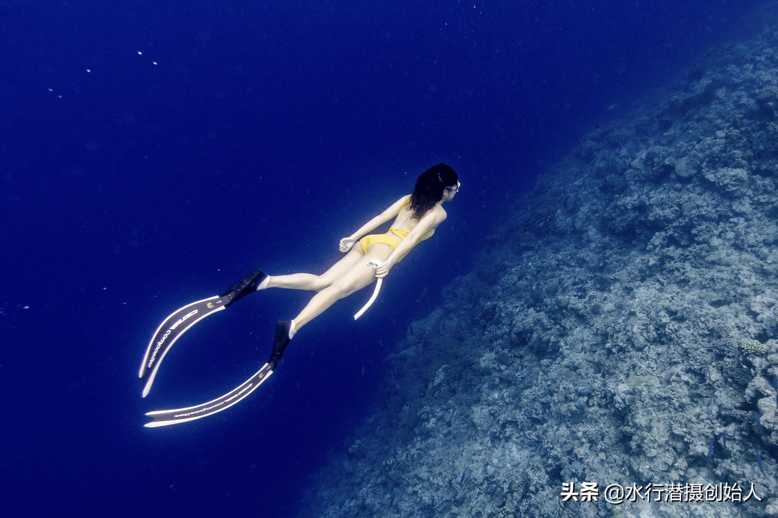 帕劳岛自由行潜水,帕劳水母湖自由潜视频