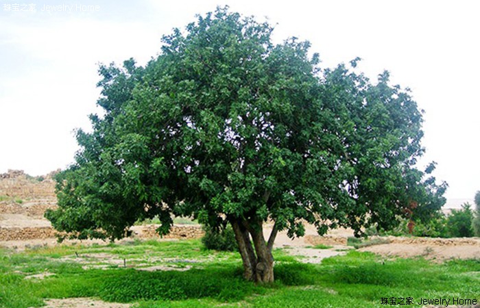 carat克拉的由来,carat和karat区别