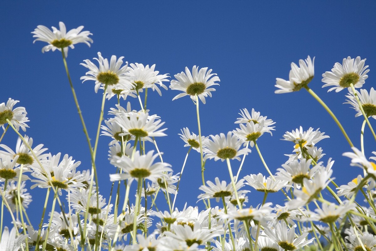 拒绝借钱给人家,拒绝借钱又不伤和气