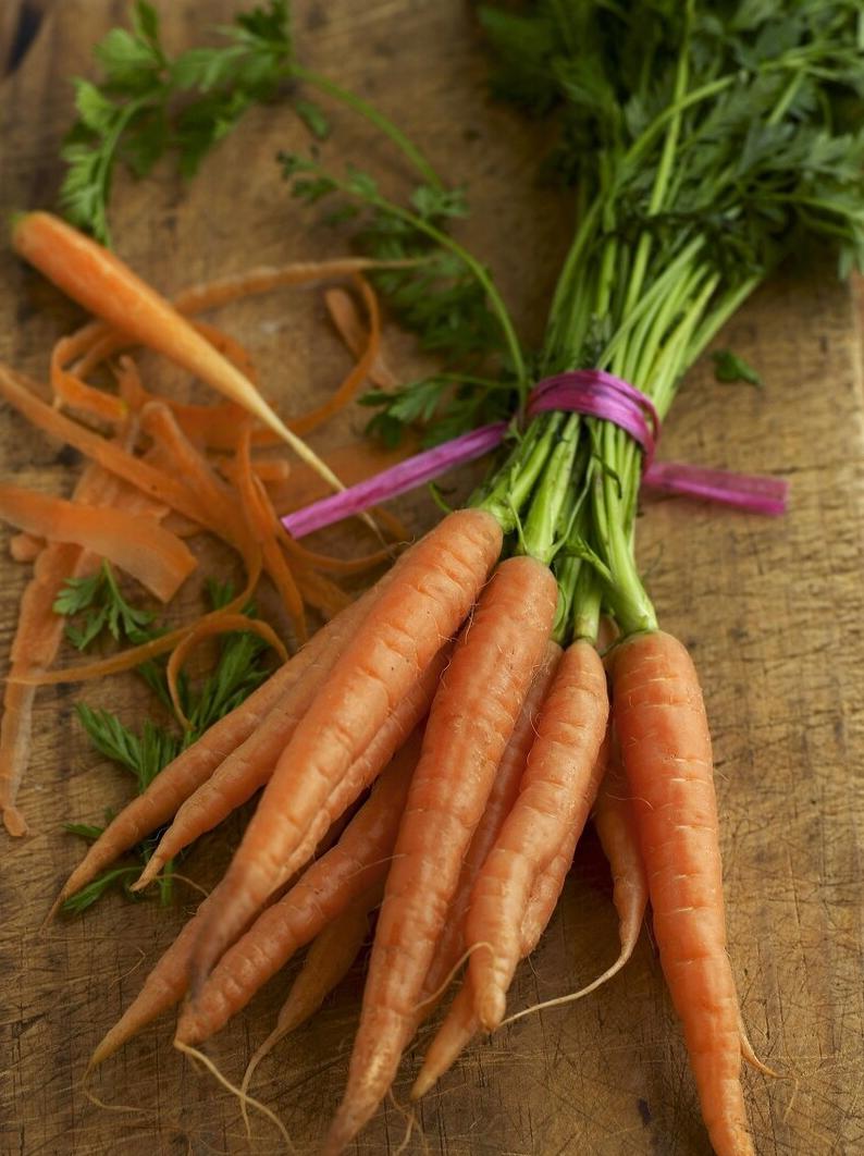 博美毛发稀少吃什么,博美毛发稀少不爱吃东西