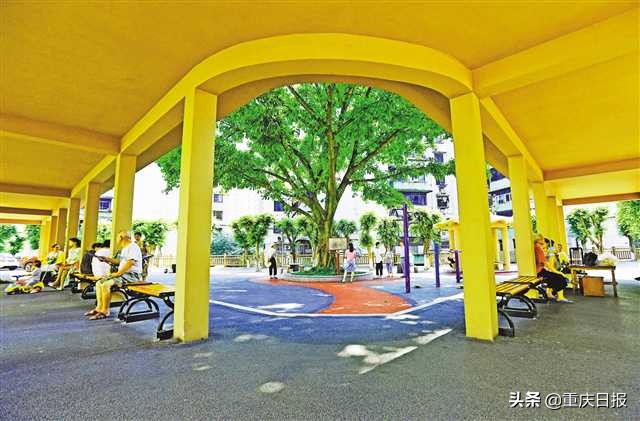 九龙三村,九龙镇旧村改造