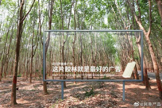 网易严选宝藏节视频,网易严选38节