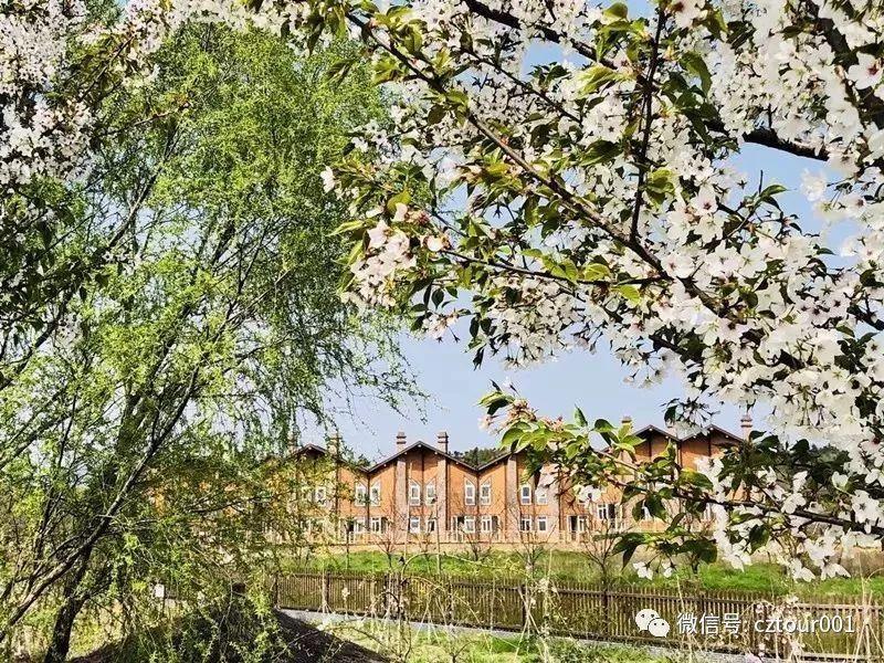 常州周末适合去哪里踏青,清明农庄亲子游攻略