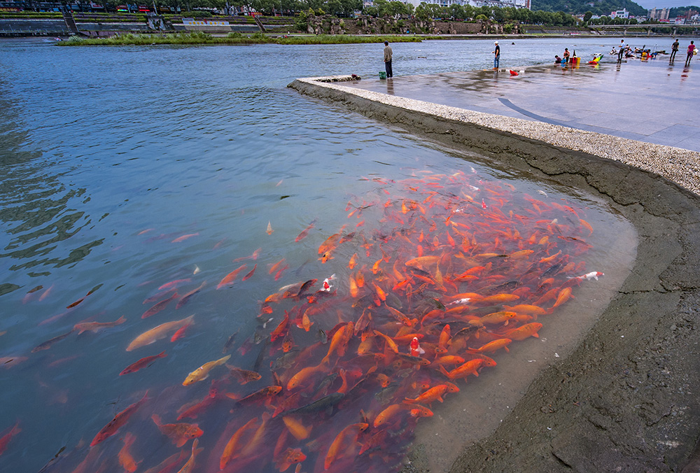 福鼎美景,福鼎最美的山岛