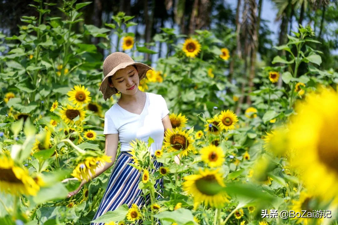 云南西双版纳到文山途经哪些景点,西双版纳适合6-12岁儿童的景点