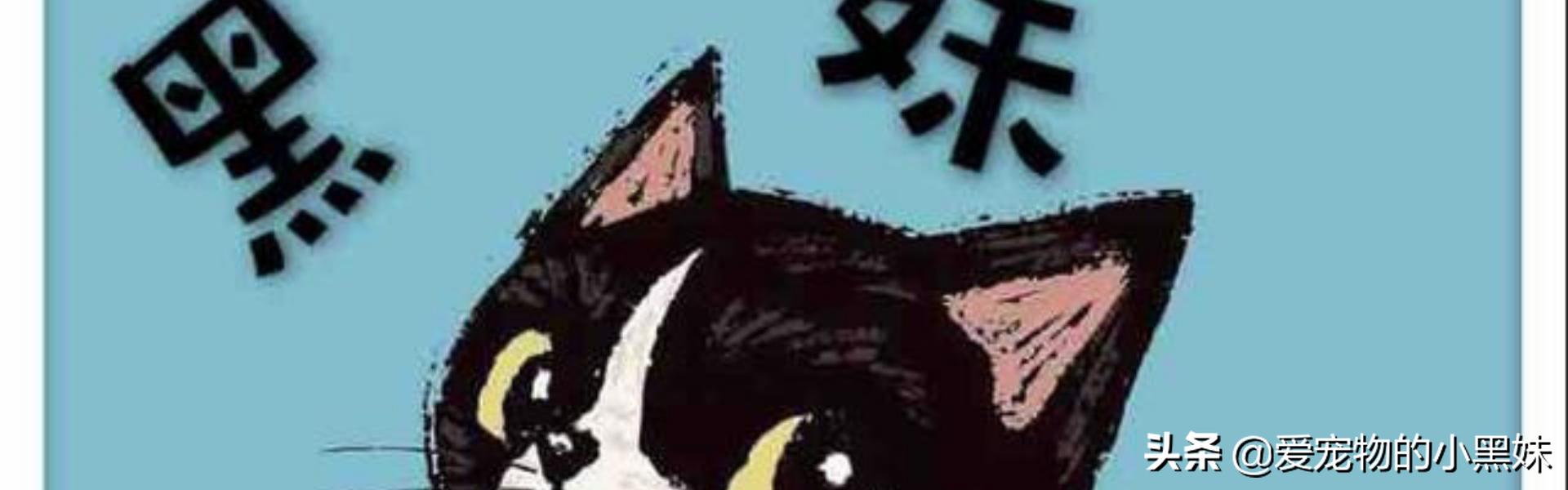 费洛蒙对猫有用吗,费洛蒙猫