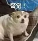 怎样享受生活快乐,怎样享受生活的快乐