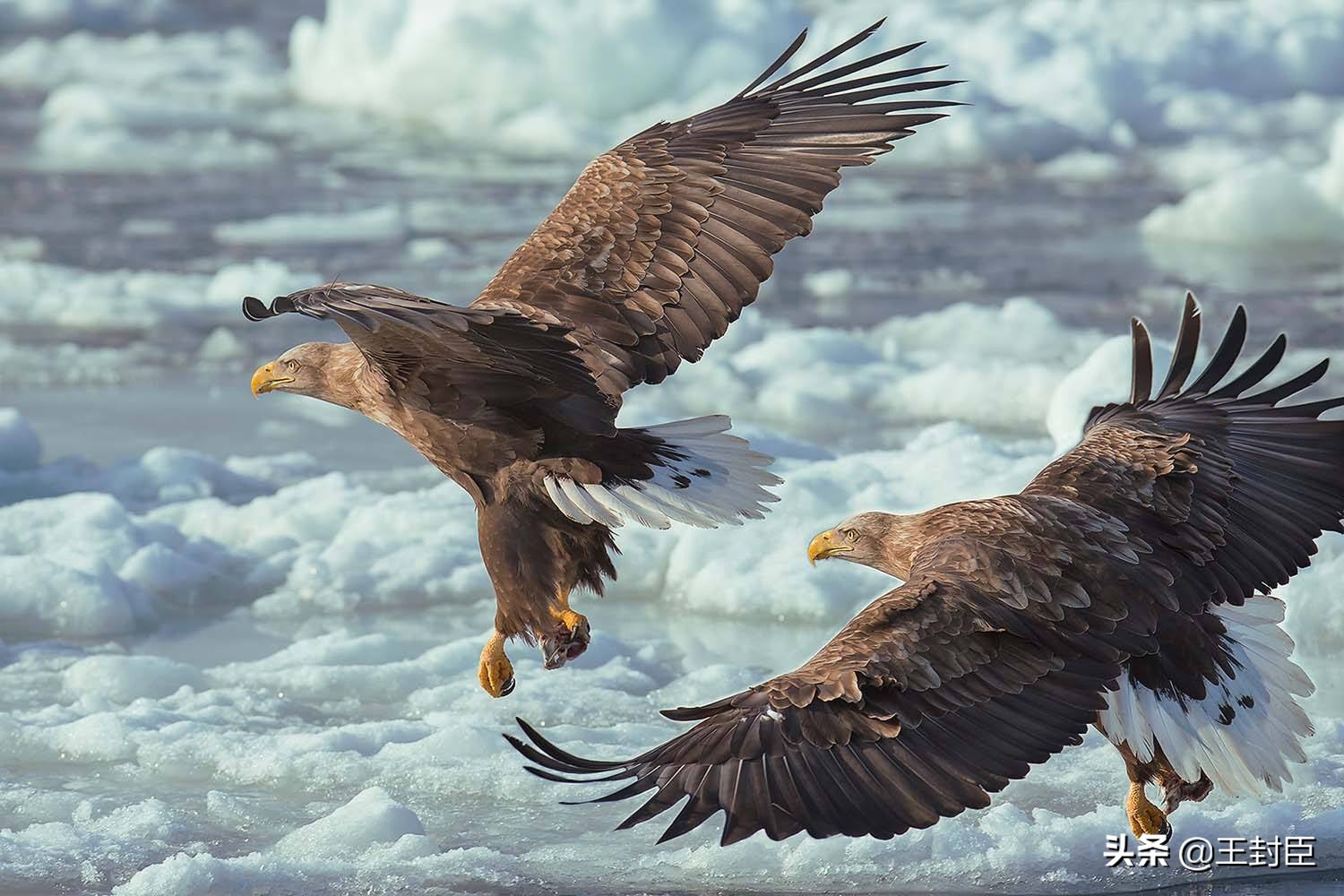 评书武侠小说人物,单田芳评书人物绰号