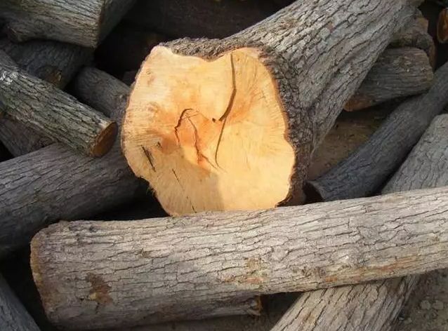 关于柴的来历,几种常用木材的区别