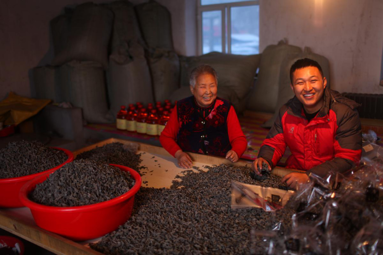 木耳的生长过程科普,木耳野外怎样生长