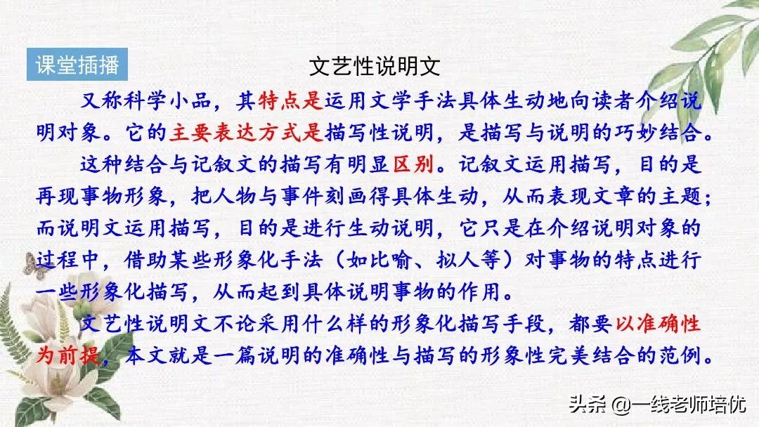 语文五年级上册第17课松鼠资料,部编版五年级上册第17课松鼠课件