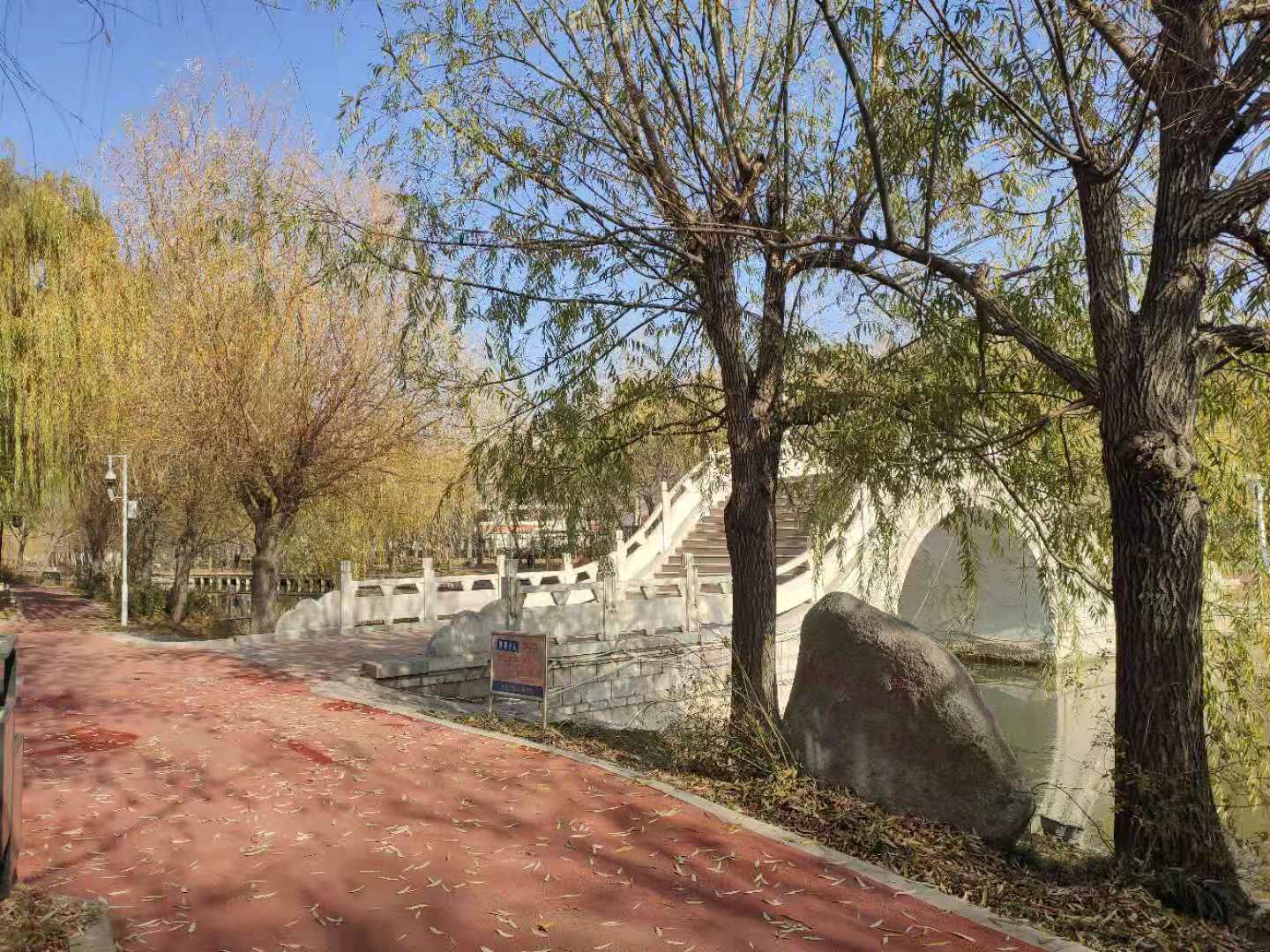 人才征婚2019.12.17