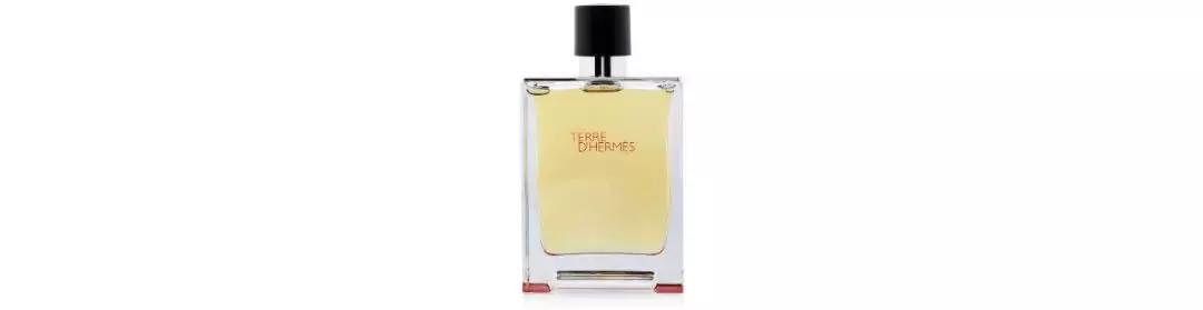 什么男人最有吸引力 (什么样的男人吸引力大)