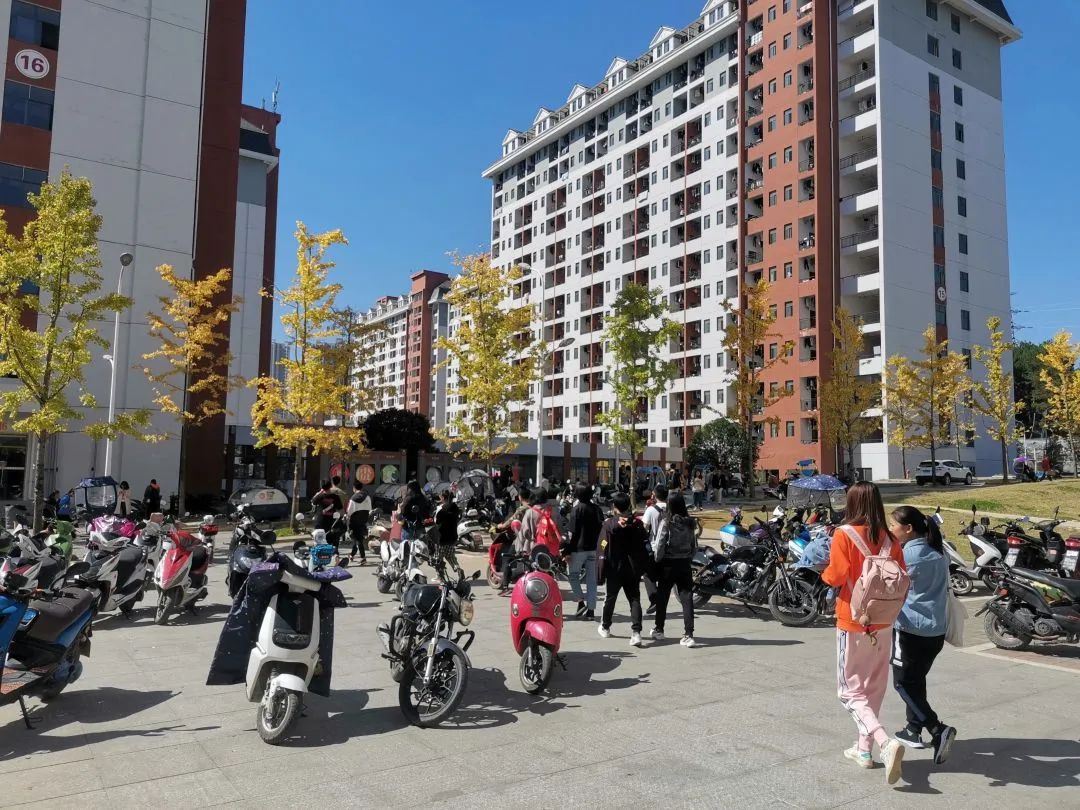 向往的生活1中的小院,精装版向往的生活