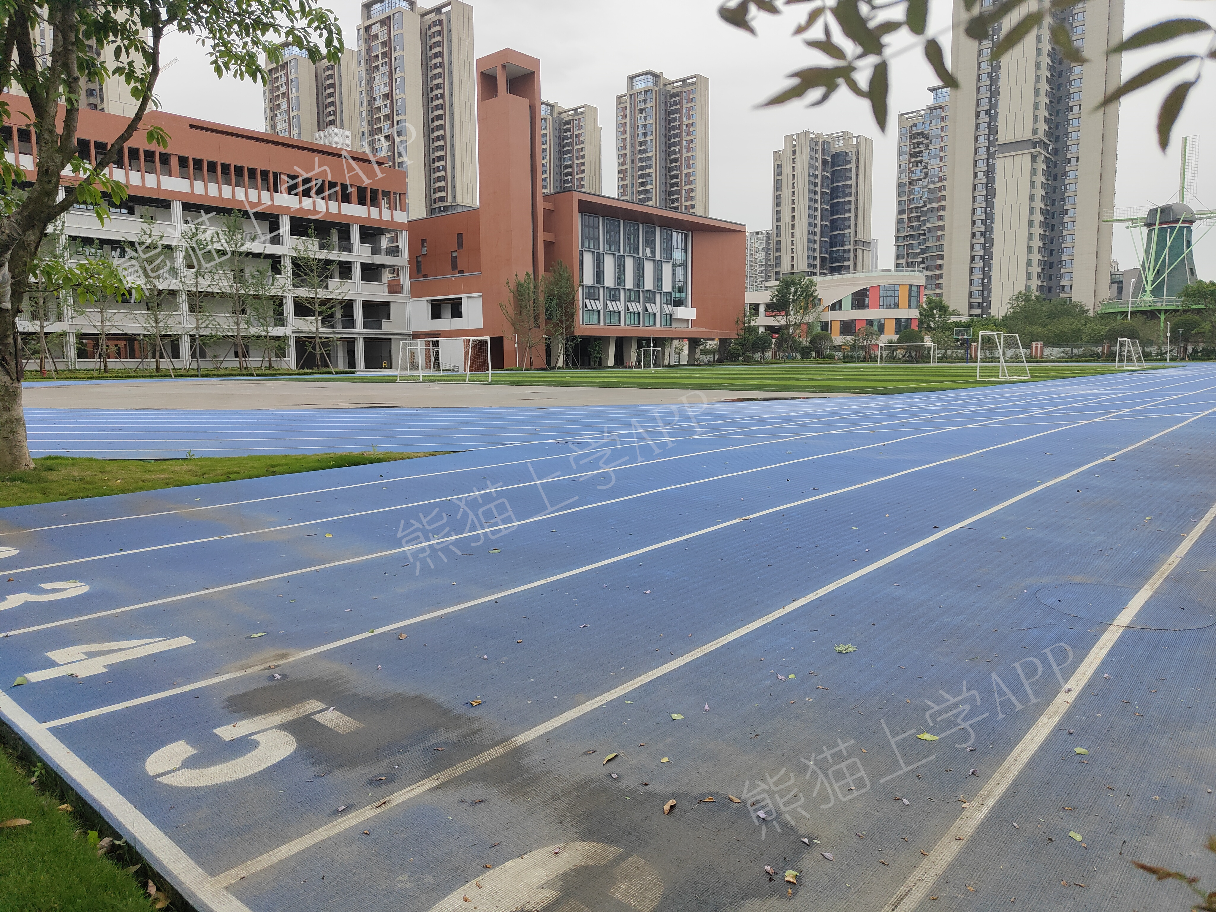 成华小学蜀都校区排名,成华小学蜀都分校是私立吗