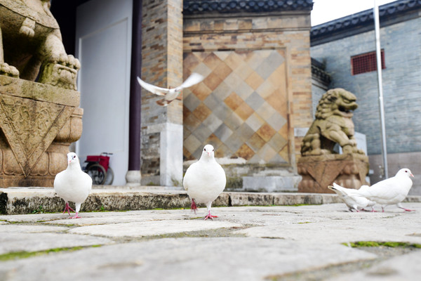律宗祖庭隆昌寺,隆昌寺是律宗第一寺