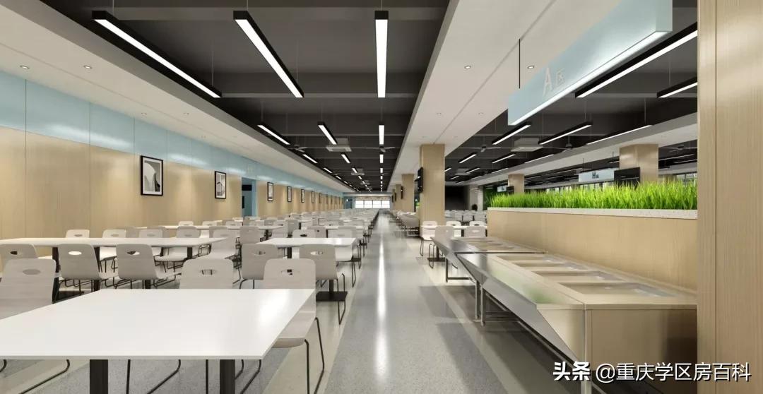 两江新区学校最新消息,两江新区新增的中学