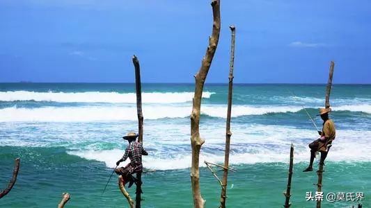 斯里兰卡古老而独特的垂钓方式,斯里兰卡独有的钓鱼方式