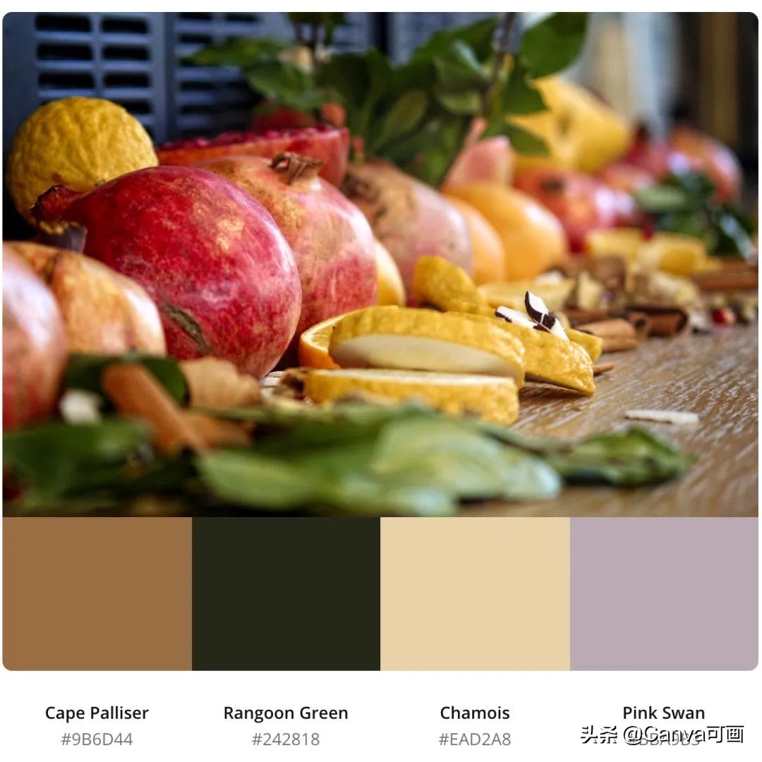 秋天配色插画秋高气爽,秋季高清插画