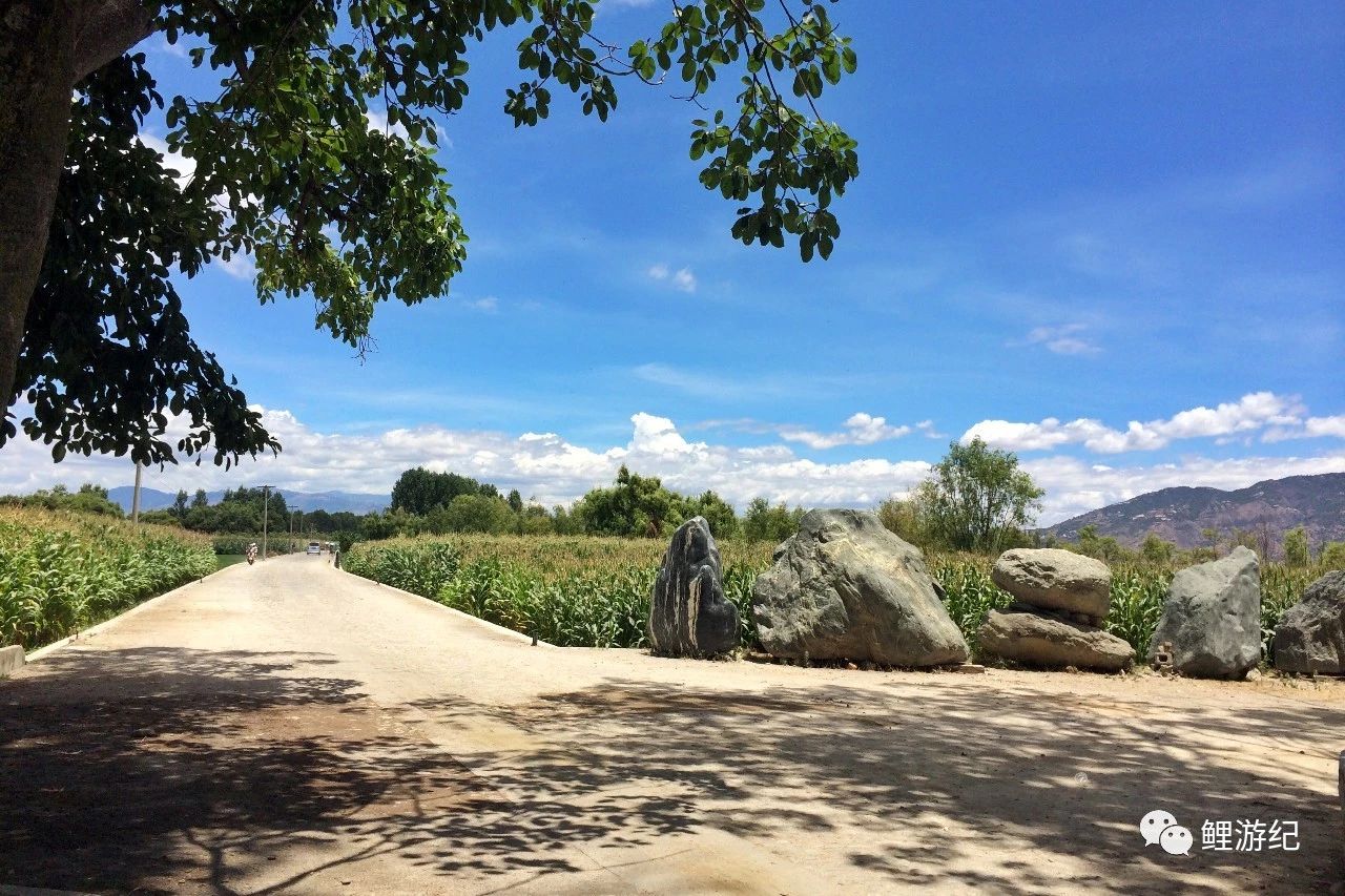 环海公路好看的图片,西南风景图片横图