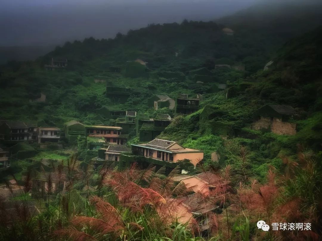 枸杞岛——六壮士崩溃之旅