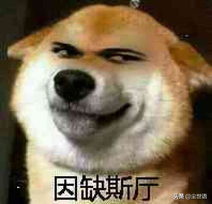 《好大哥系统》，这书，味道很重，还很上头