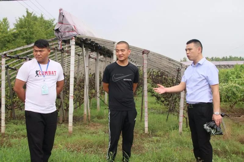 从退伍兵到群众贴心人,从退役军人到乡村致富领路人