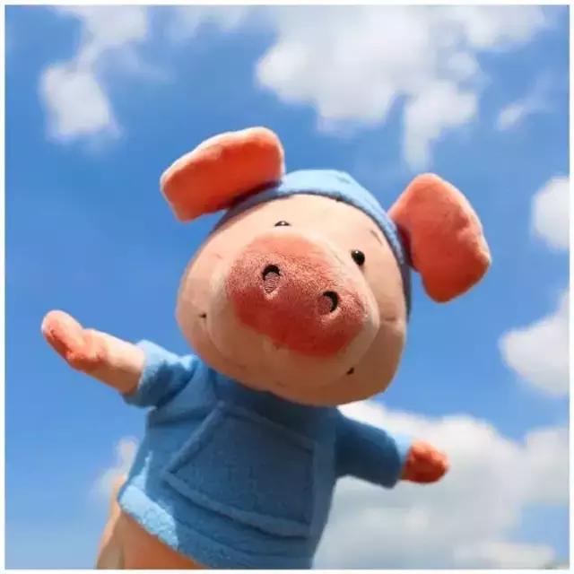 pigout是什么梗,pigout英语翻译