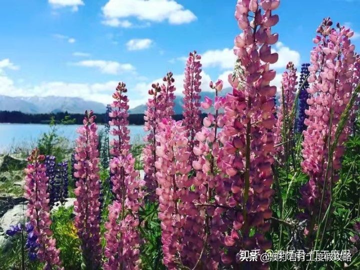 十大最累最赚钱的工作,哪些比较赚钱的工作可以在家做