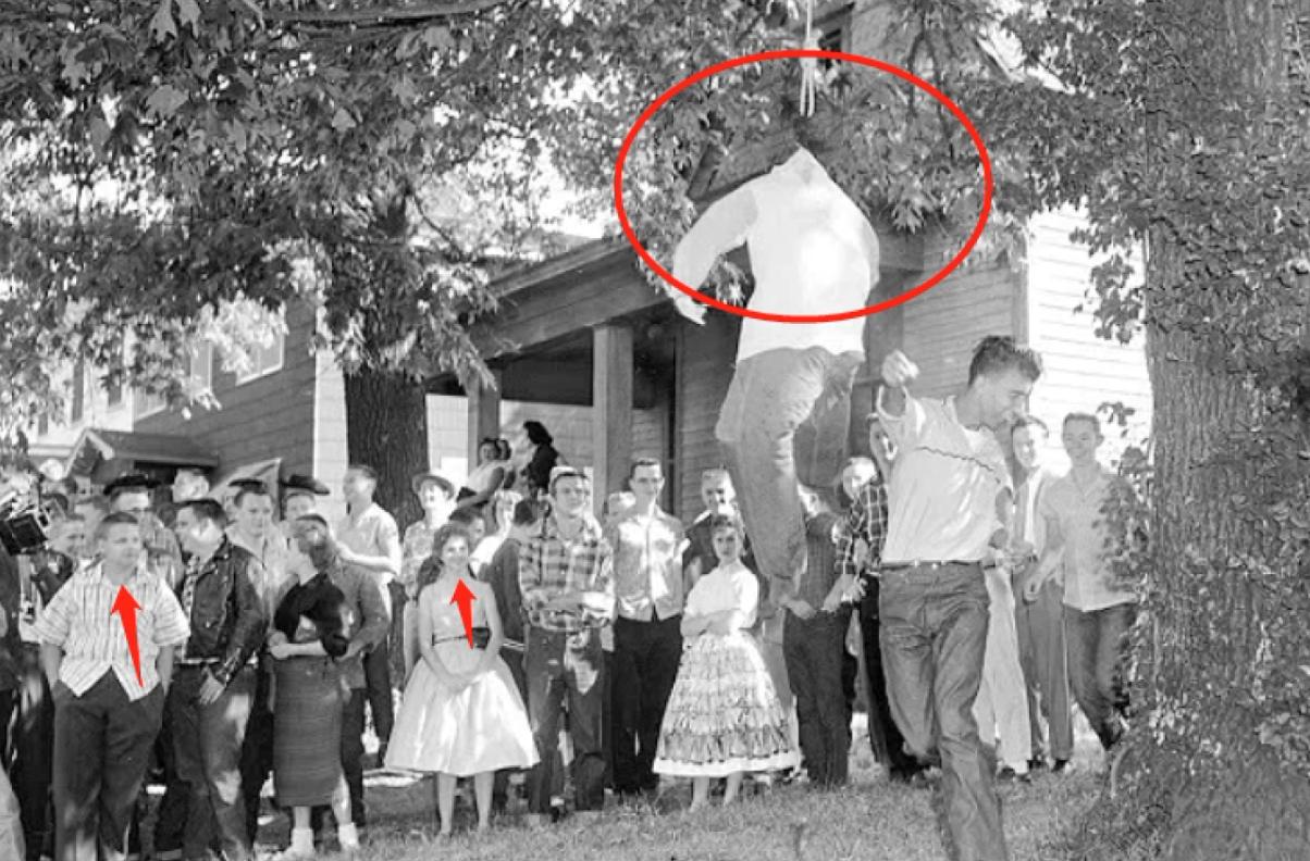 乌合麒麟血棉解析,乌合麒麟怒揭血棉真相