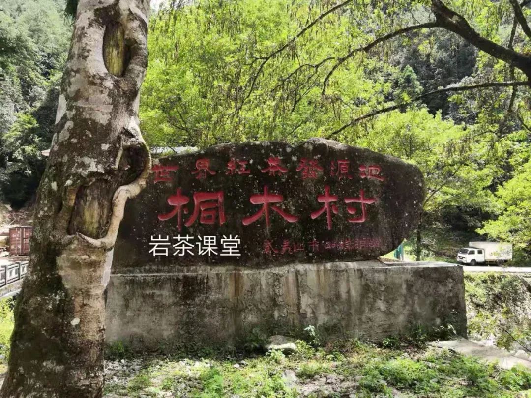 正宗金骏眉是什么样子,金骏眉都什么样