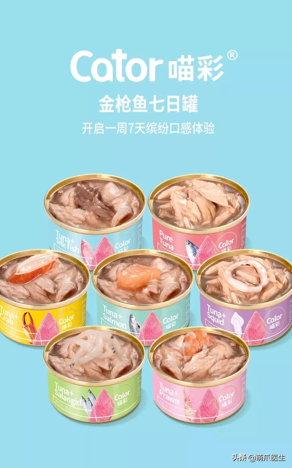 怎样让猫咪喝水才正确,猫咪进厕所喝水