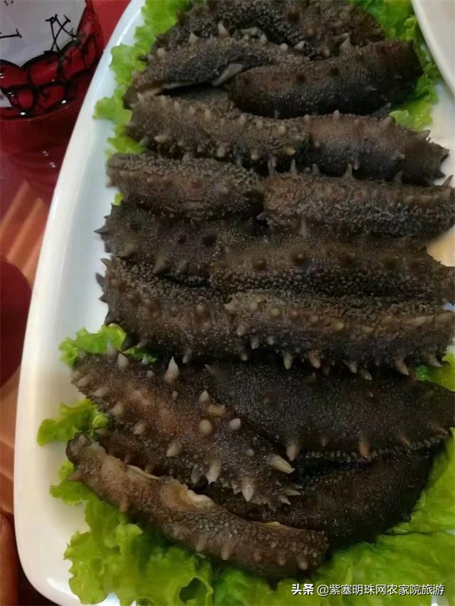 大连獐子岛旅游攻略住宿,獐子岛旅游住宿费用