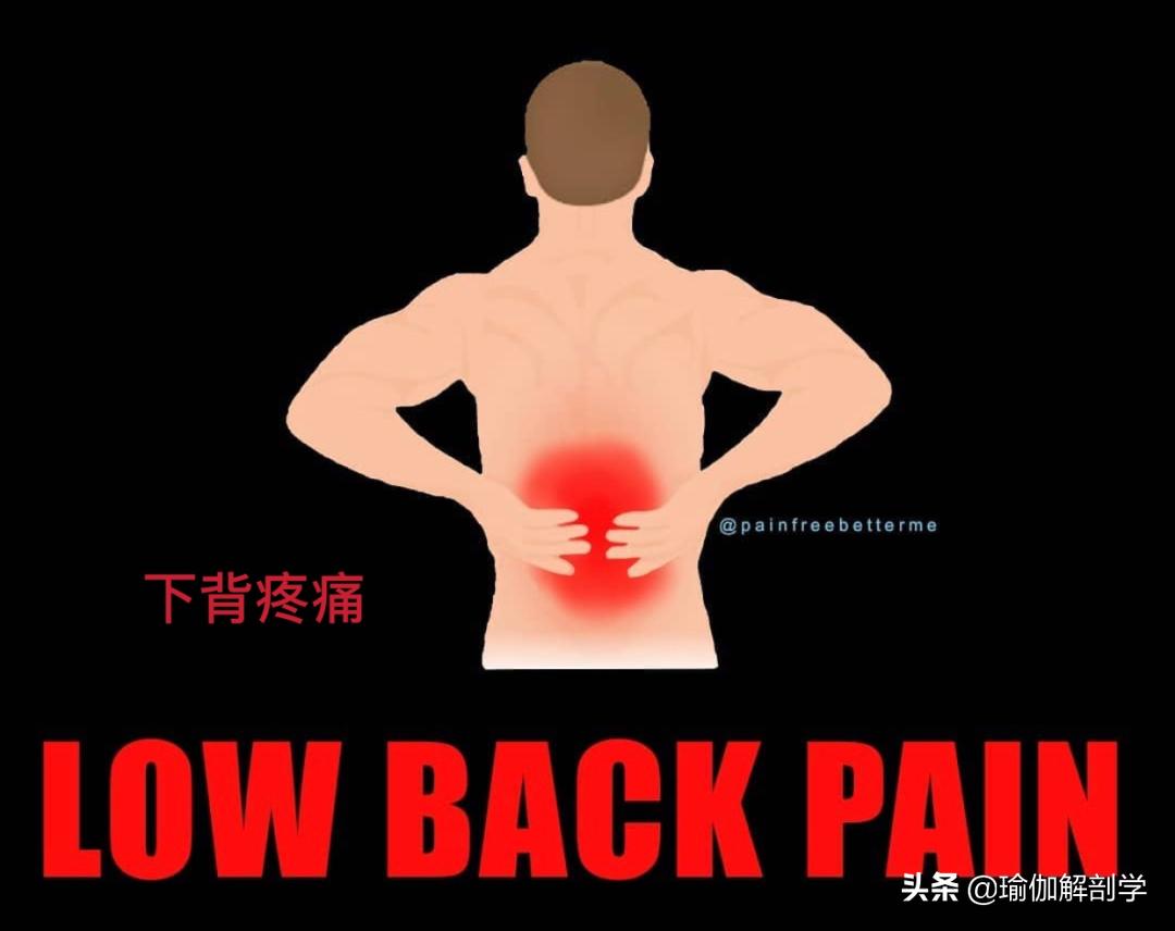 久坐腰痛必练瑜伽动作,腰不舒服适合的瑜伽体式