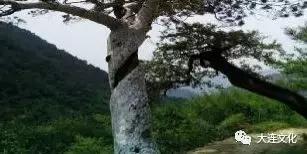 韩和平:瓜峪的传说