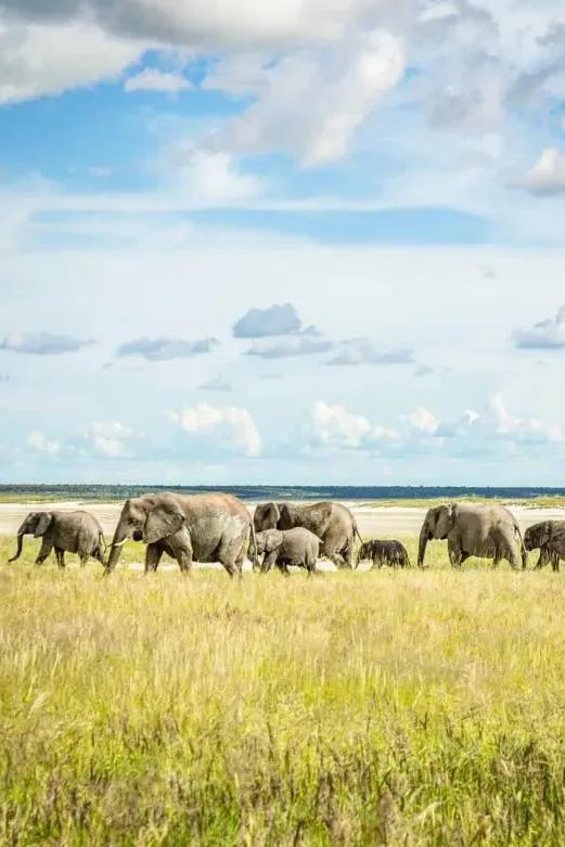 去了这30个地方一生就值得了,此生一定要去的14个地方