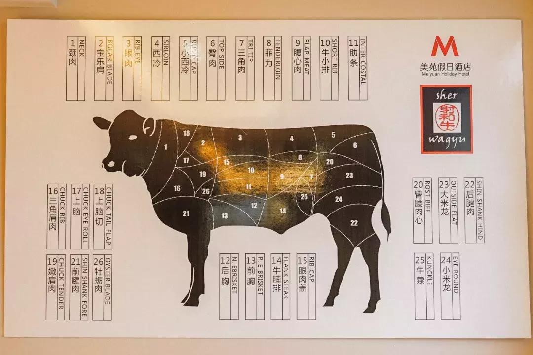 鐐儰婢虫床鍜岀墰,鐐儰婢虫床鍜岀墰m5瑗垮喎鐗涙帓鍥㈣喘