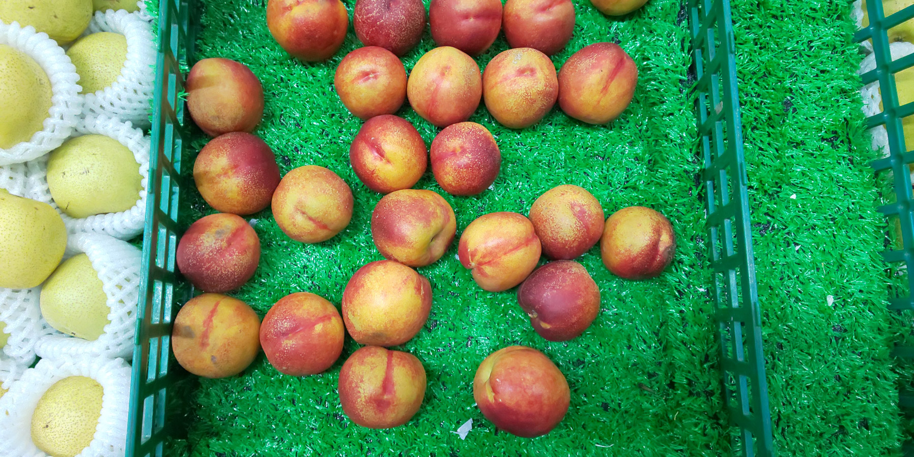 夏普r2主题,夏普r2显示效果