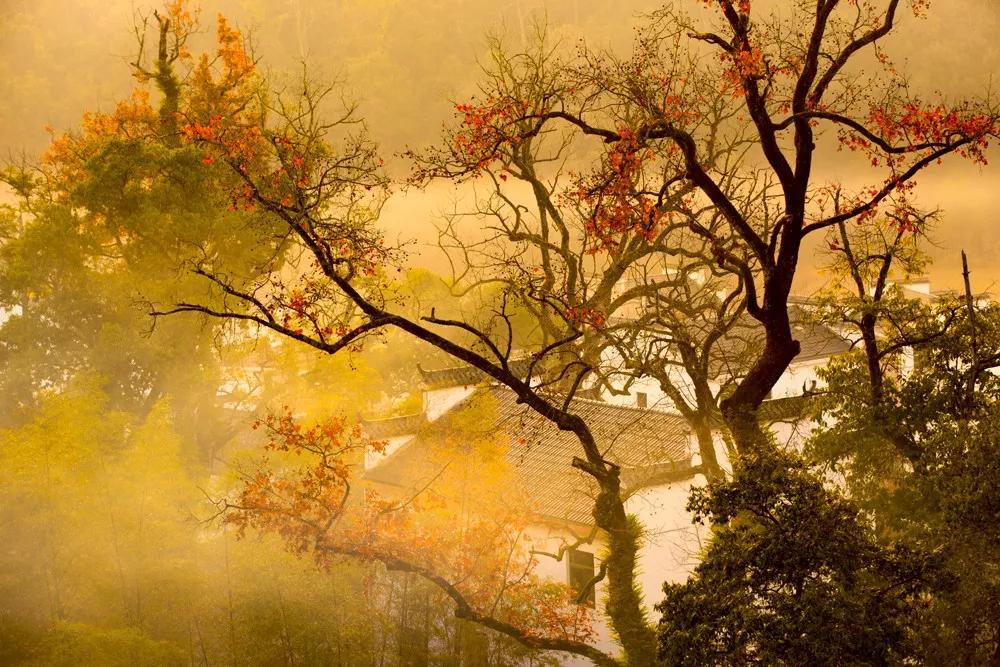 10月下旬徽州摄影推荐,金秋皖南婺源摄影之旅