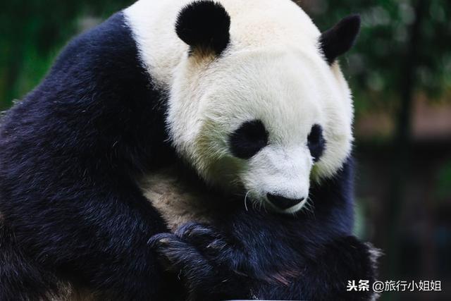 天目湖加南山竹海哪里泡温泉好,天目湖度假秘境享受绝美自然山水