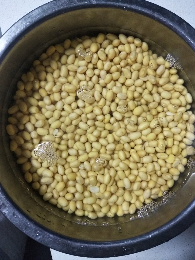 在山东、河南两地,当西瓜遇见黄豆,感觉妙不可言!