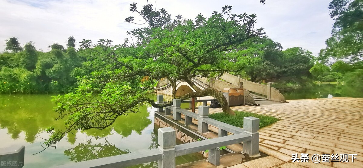 温州经济怎么样,温州经济全国排第几