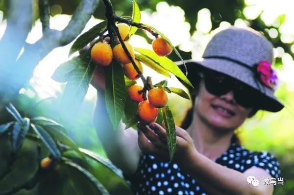 乌当区文明城市建设,乌当区美丽乡村建设