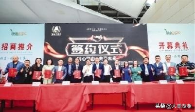 永顺县莓茶产业发展调查与思考,关于张家界莓茶产业发展